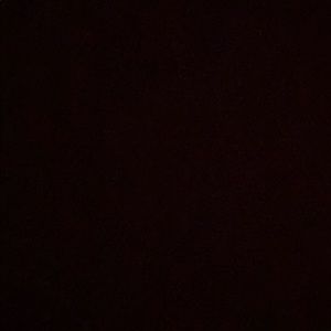 Meet your Posher, Gracie